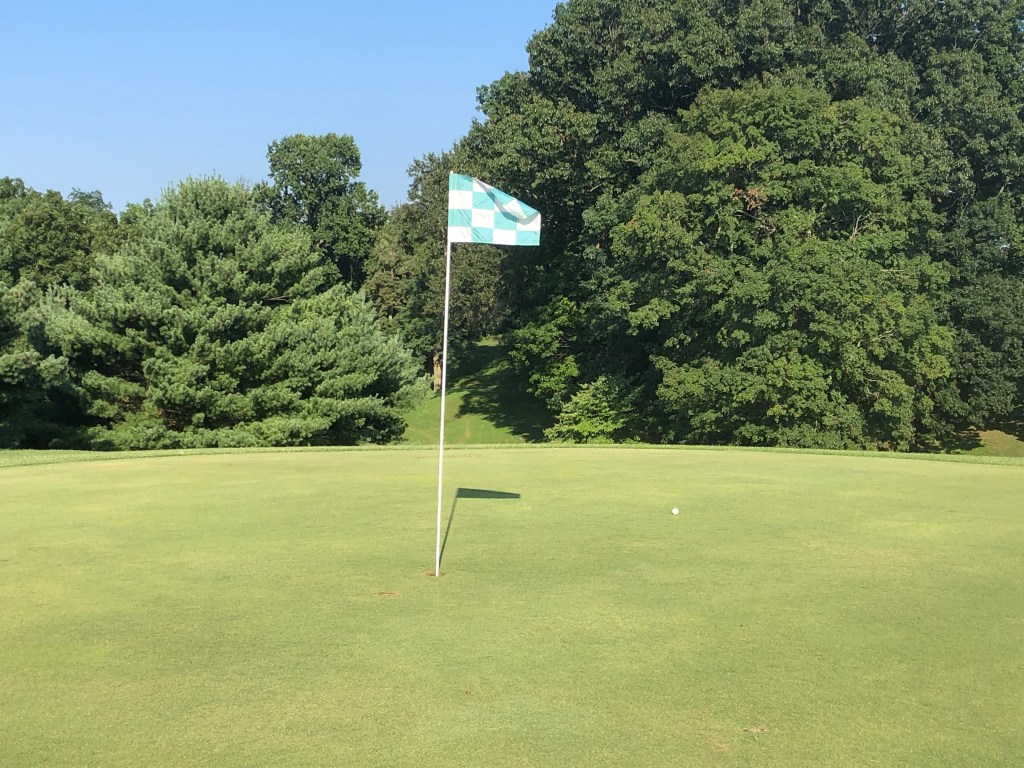 golf course hole with flag